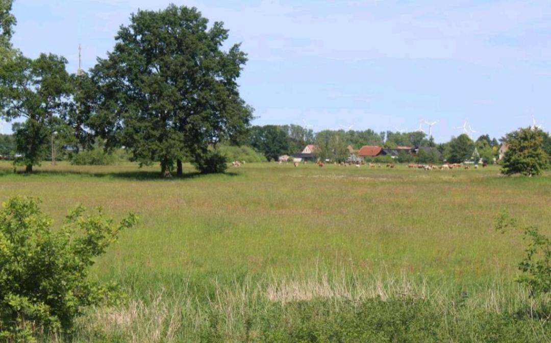 Spreewald Ferienwohnung Noack Lübben Esterno foto