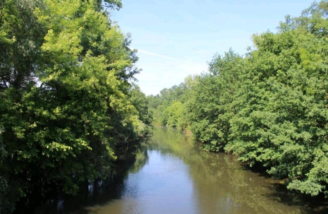 Spreewald Ferienwohnung Noack Lübben Esterno foto