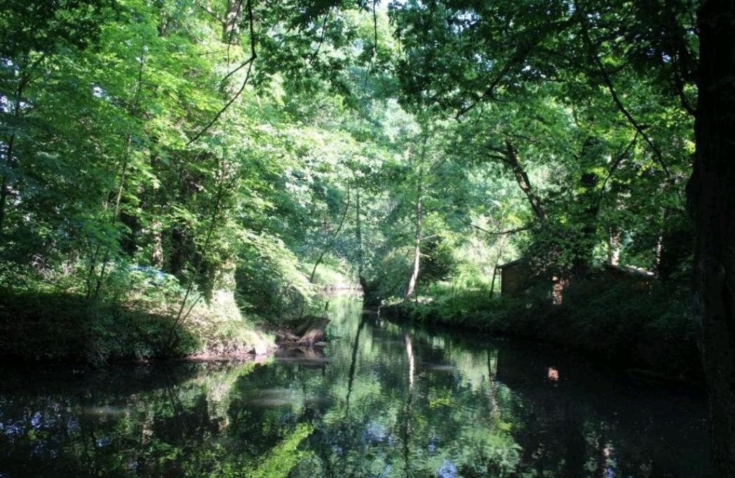 Spreewald Ferienwohnung Noack Lübben Esterno foto